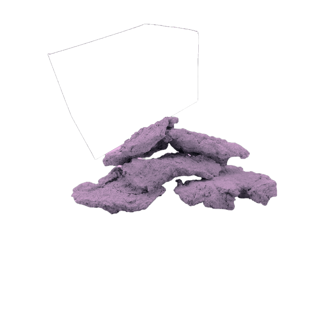 Nano Shelf Rock Assortment 250523