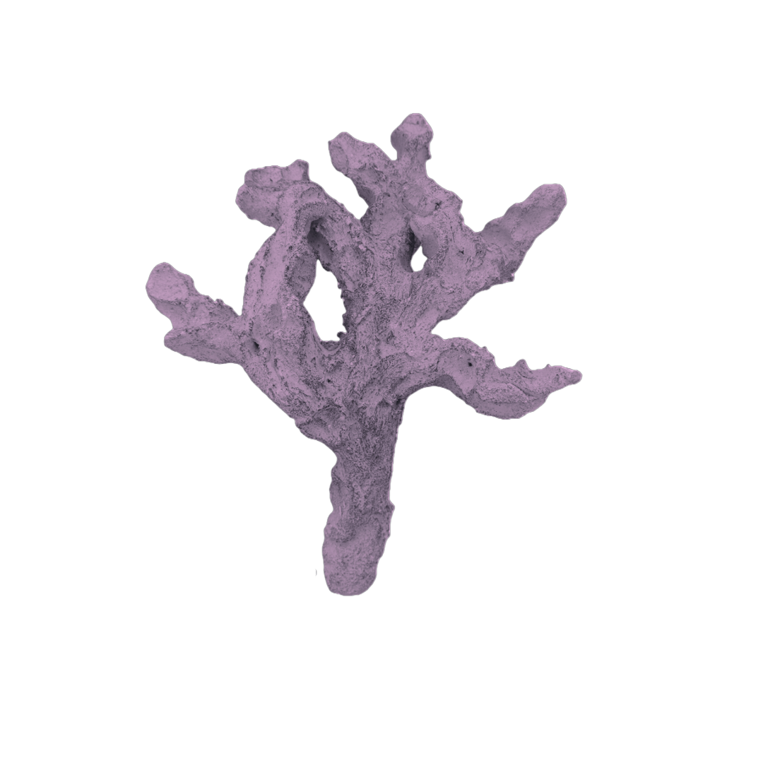 Nano Branching Rock 619786
