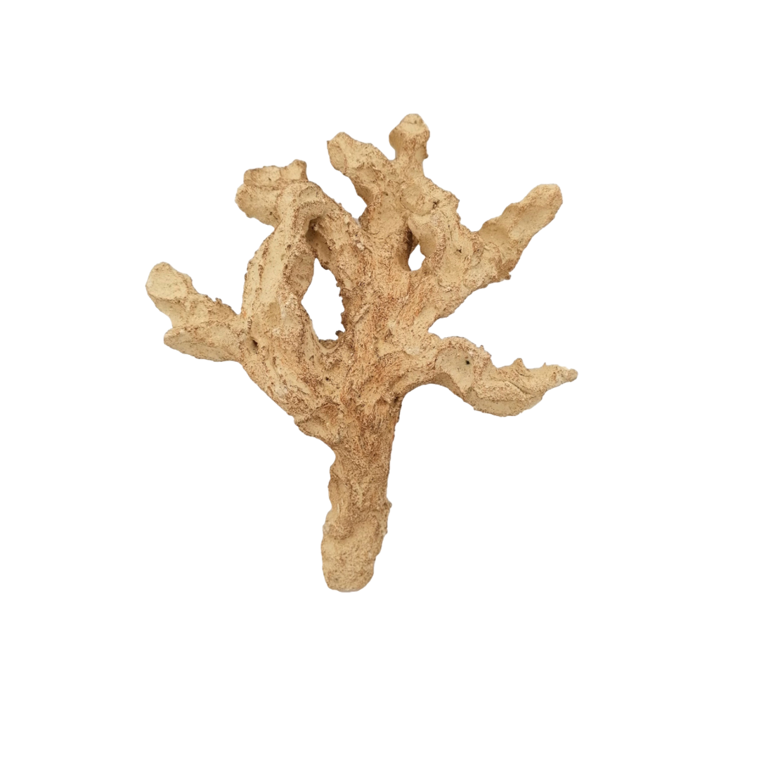 Nano Branching Rock 619786