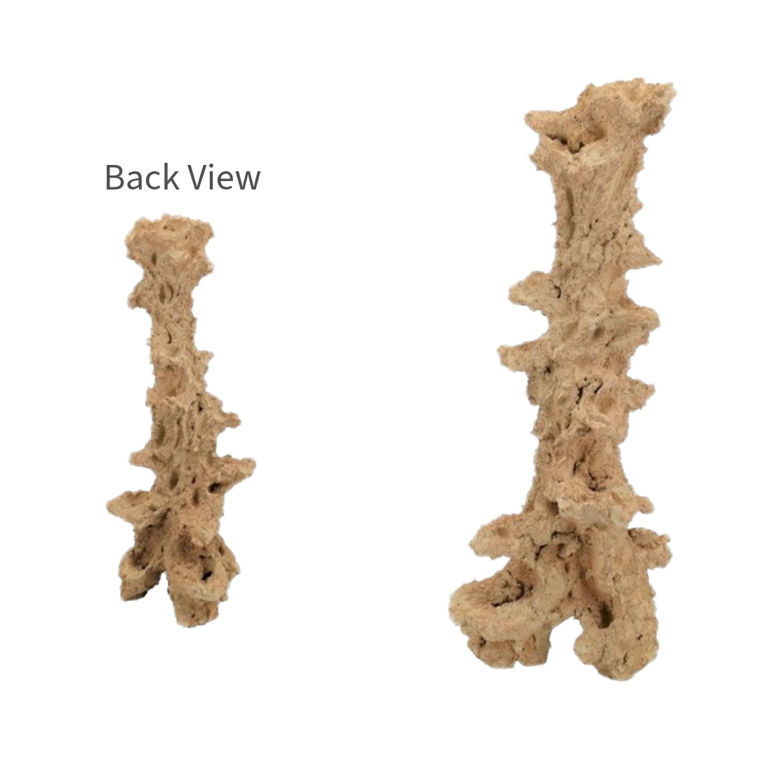 XXLarge Pillar Reef Plate 27 inch