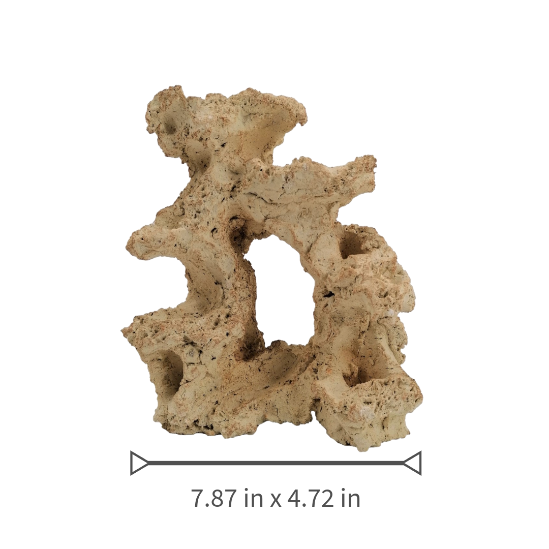 Aquaroche Small Reef Base – 7.8inch Live Rock Structure for Fresh & Marine Tanks
Aquaroche Small Reef Base Rock – Natural Biological Filter Rock for Nano Aquariums