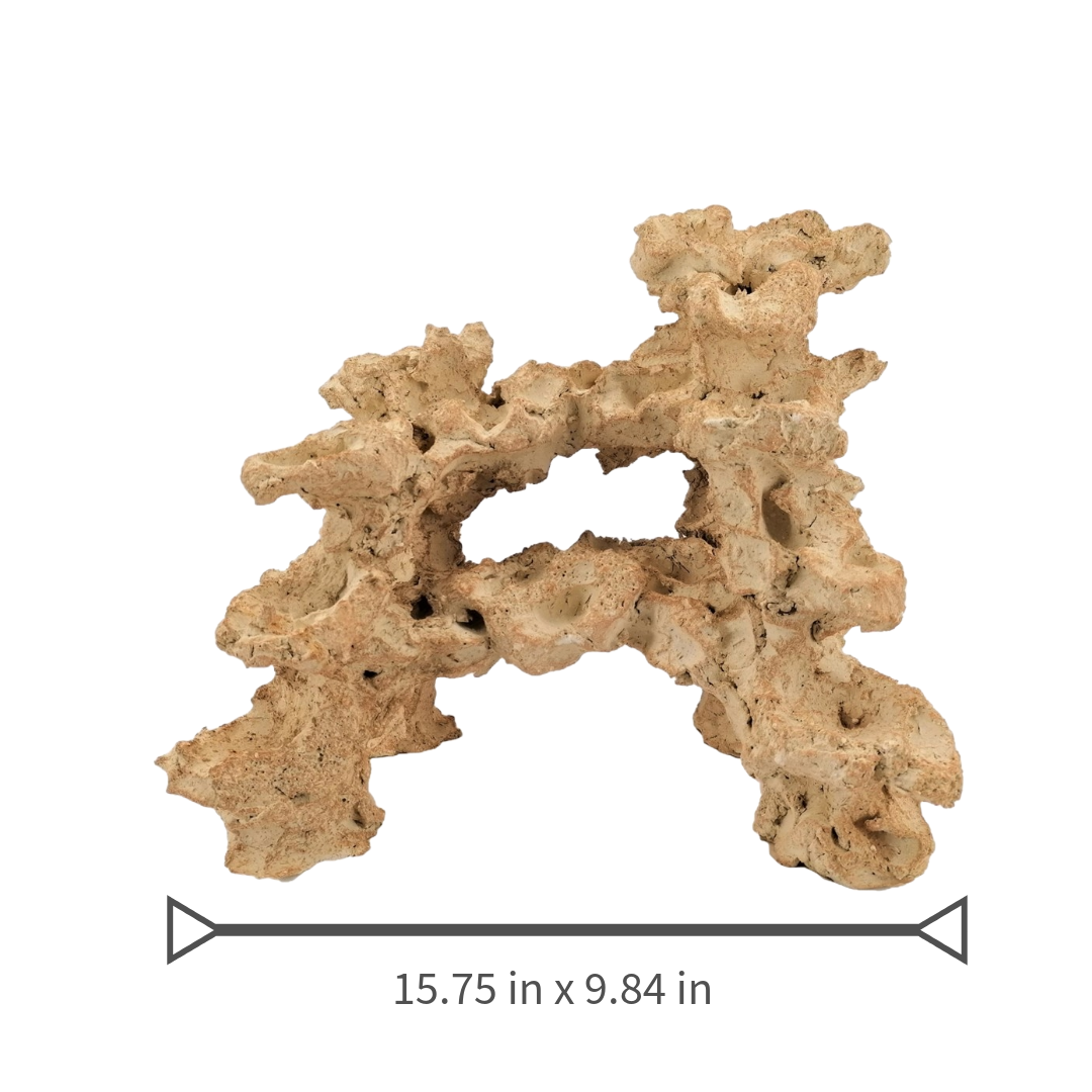 Aquaroche middle reef base rock 11.8 inch for reef aquariums
Aquaroche live rock reef base with built-in ledges
Natural middle reef base rock for marine aquariums
Aquaroche eco reef middle live rock structure
Medium reef aquarium base live rock for aquascaping