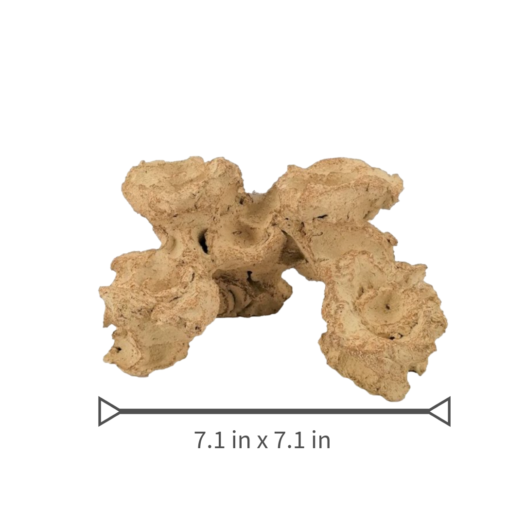Aquaroche Mini Reef Base 4.33 inches natural reef rock for coral mounting