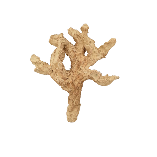 Nano Branching Rock 619786