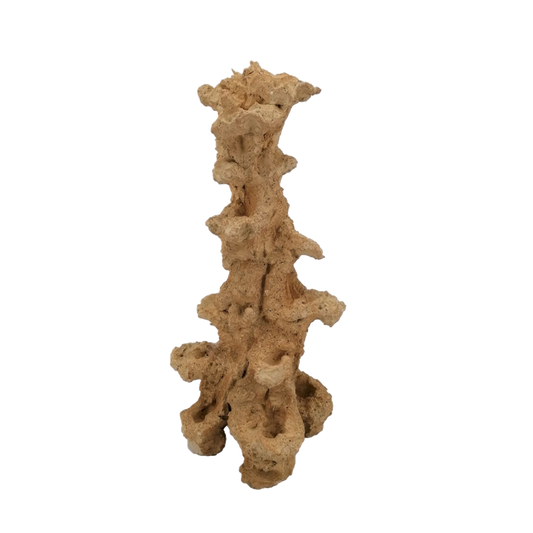 Aquaroche Pillar 500858 – 21.7 in XL reef pillar rock with 6 ledges for Eco Reef Plates. Ideal for large and display marine aquariums. Provides natural biological filtration and tall vertical aquascaping support.