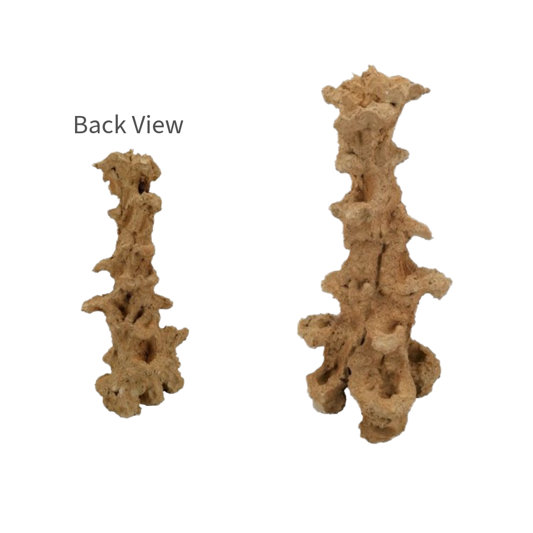 Aquaroche Pillar 500858 – 21.7 in XL reef pillar rock with 6 ledges for Eco Reef Plates. Ideal for large and display marine aquariums. Provides natural biological filtration and tall vertical aquascaping support.