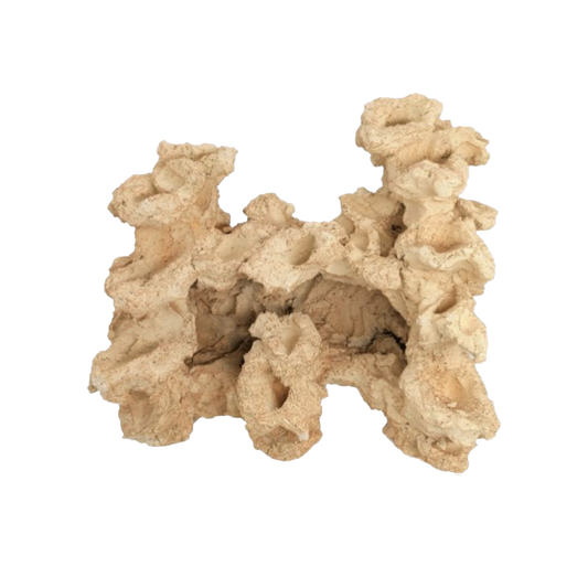 Aquaroche grotto reef rock 9536 live rock cave for reef aquarium

Aquaroche live rock grotto structure with built-in ledges

Natural reef rock cave shelter for marine aquariums

Aquaroche eco reef grotto live rock for aquascaping

Reef aquarium cave structure live rock for fish hiding