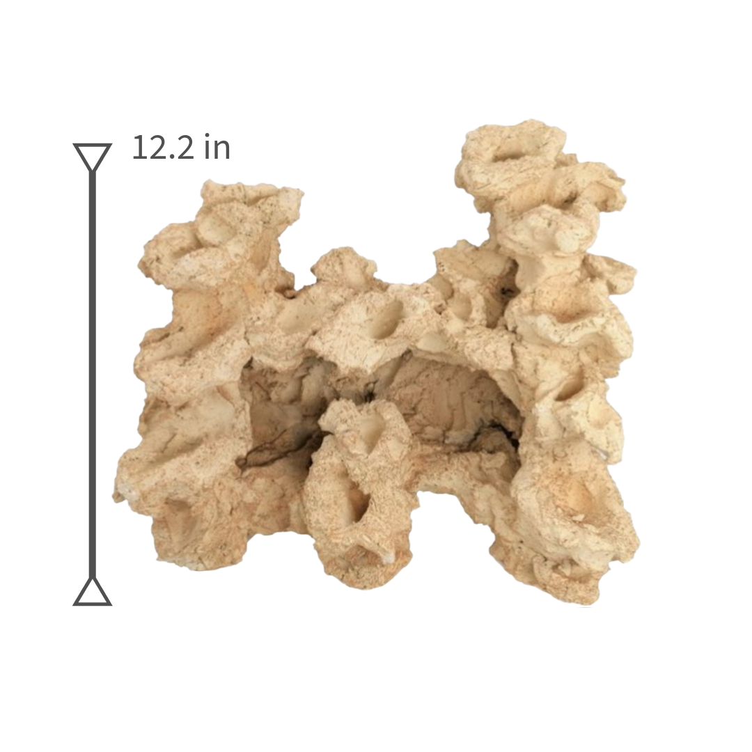 Aquaroche grotto reef rock 9536 live rock cave for reef aquarium

Aquaroche live rock grotto structure with built-in ledges

Natural reef rock cave shelter for marine aquariums

Aquaroche eco reef grotto live rock for aquascaping

Reef aquarium cave structure live rock for fish hiding