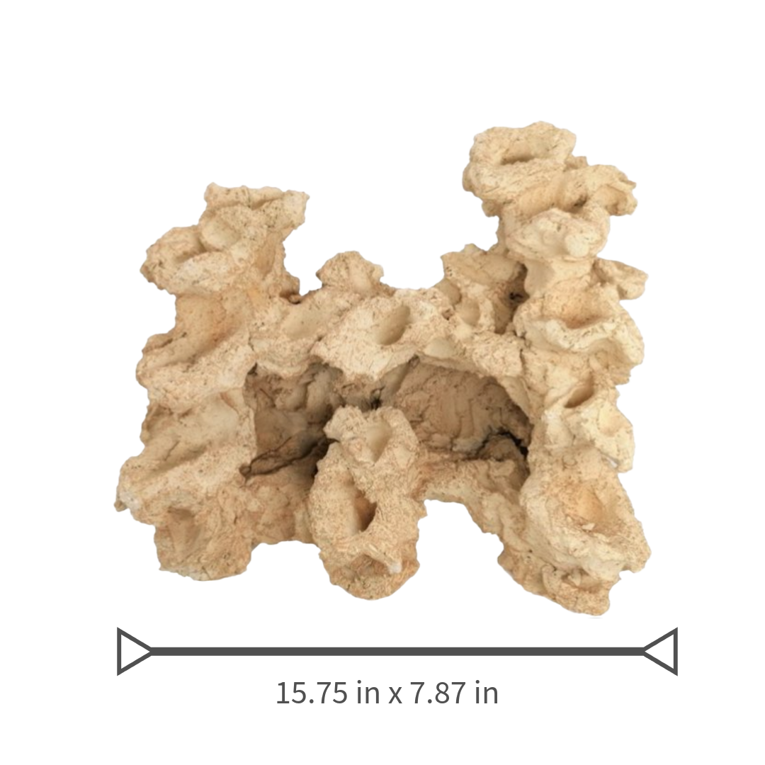 Aquaroche grotto reef rock 9536 live rock cave for reef aquarium

Aquaroche live rock grotto structure with built-in ledges

Natural reef rock cave shelter for marine aquariums

Aquaroche eco reef grotto live rock for aquascaping

Reef aquarium cave structure live rock for fish hiding