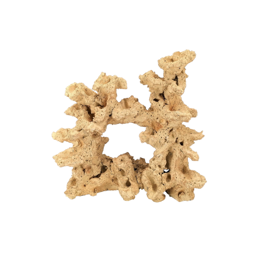 Aquaroche big wide reef base rock 15.57 in for large reef aquarium

Aquaroche large live rock centerpiece for reef tanks over 53 gallons

Handmade big wide reef base rock with built-in ledges

Aquaroche eco reef large donut base rock for aquascaping

Central decor live rock structure for large marine aquariums