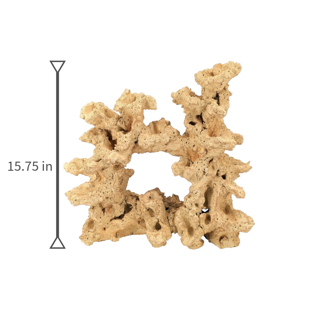 Aquaroche big wide reef base rock 15.57 in for large reef aquarium

Aquaroche large live rock centerpiece for reef tanks over 53 gallons

Handmade big wide reef base rock with built-in ledges

Aquaroche eco reef large donut base rock for aquascaping

Central decor live rock structure for large marine aquariums