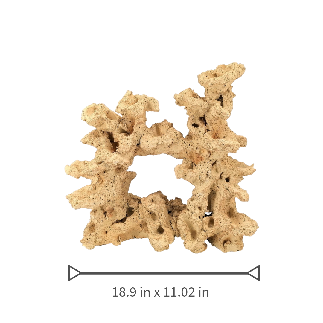 Aquaroche big wide reef base rock 15.57 in for large reef aquarium

Aquaroche large live rock centerpiece for reef tanks over 53 gallons

Handmade big wide reef base rock with built-in ledges

Aquaroche eco reef large donut base rock for aquascaping

Central decor live rock structure for large marine aquariums