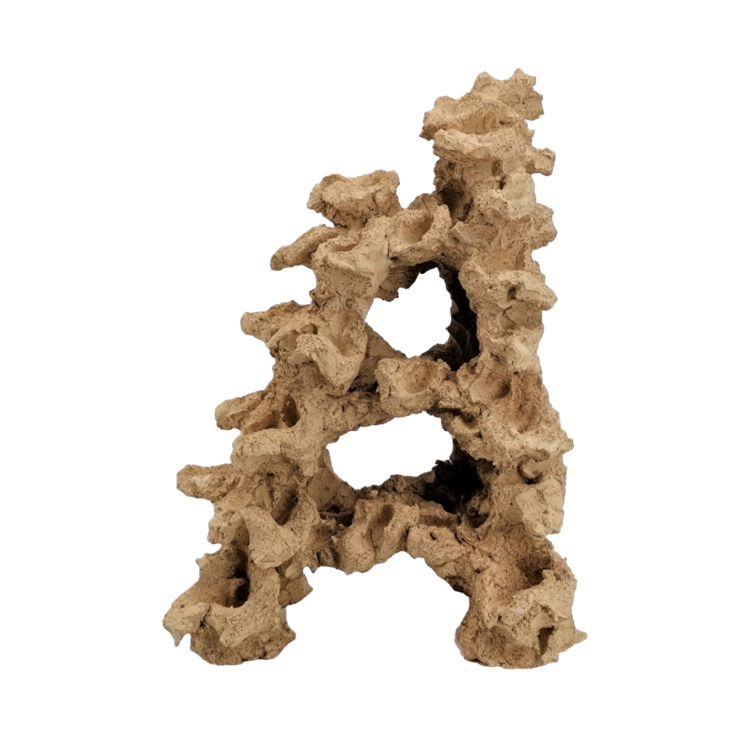 Aquaroche large double pyramid multi reef element rock 21 inch

Aquaroche 21in live rock structure for reef aquariums

Multi reef element double pyramid rock for central aquascaping

Aquaroche eco reef large background live rock structure

Large reef aquarium double pyramid live rock centerpiece