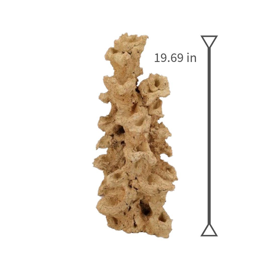 Handcrafted live rock arch with reef plate ledges for aquascaping

