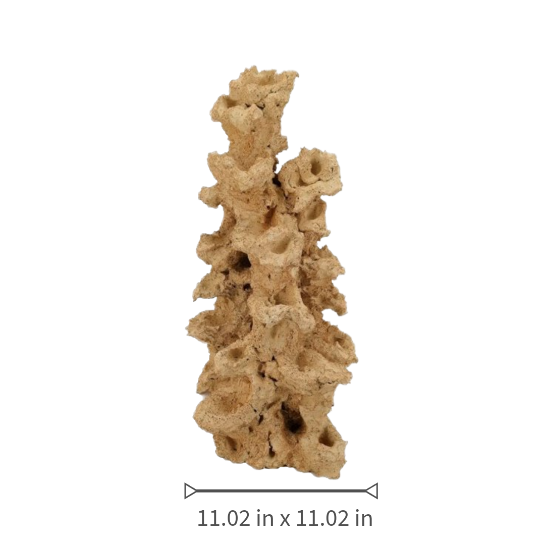 Aquaroche eco reef arch live rock for marine aquariums

