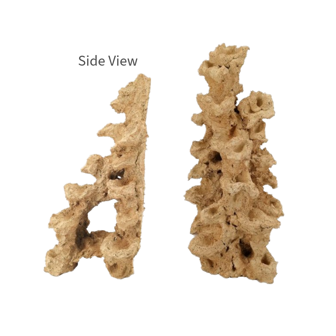 Large back-wall reef arch structure for advanced aquascaping