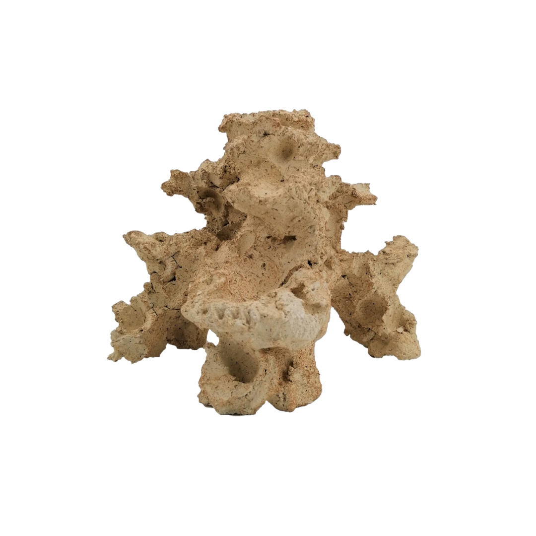 Aquaroche nano reef rock 9305 live rock with pump cavity

Aquaroche nano reef live rock with coral steps for aquascaping

Natural nano reef rock structure for marine aquariums

Aquaroche eco reef nano rock with hidden pump compartment

Nano reef aquarium live rock centerpiece with coral ledges