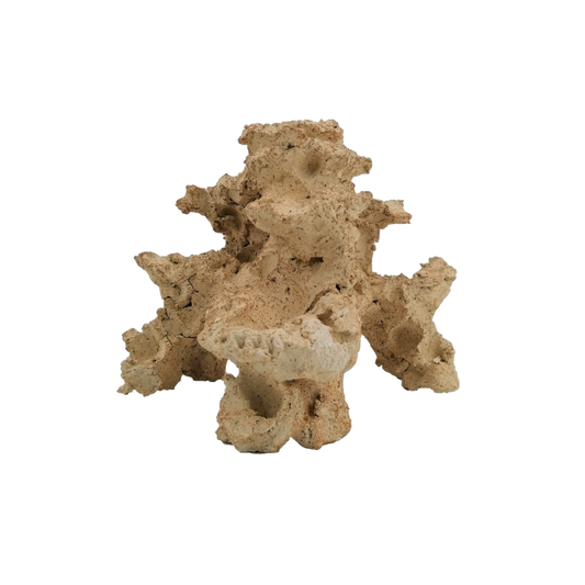 Aquaroche nano reef rock 9305 live rock with pump cavity

Aquaroche nano reef live rock with coral steps for aquascaping

Natural nano reef rock structure for marine aquariums

Aquaroche eco reef nano rock with hidden pump compartment

Nano reef aquarium live rock centerpiece with coral ledges