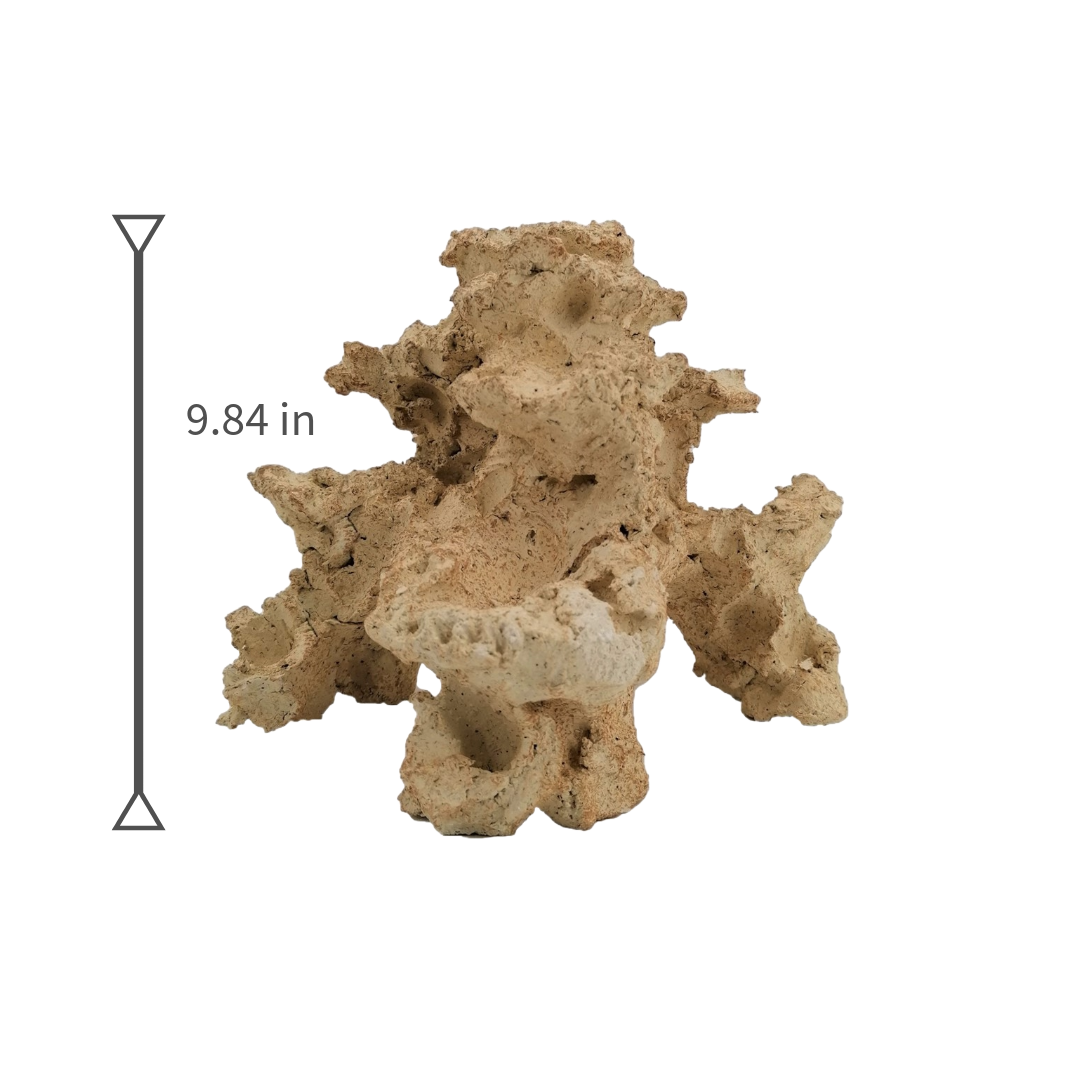 Natural Reef Rocks Aquaroche Nano Reef Rock – Live Rock with Pump Cavity for Nano Reef ...