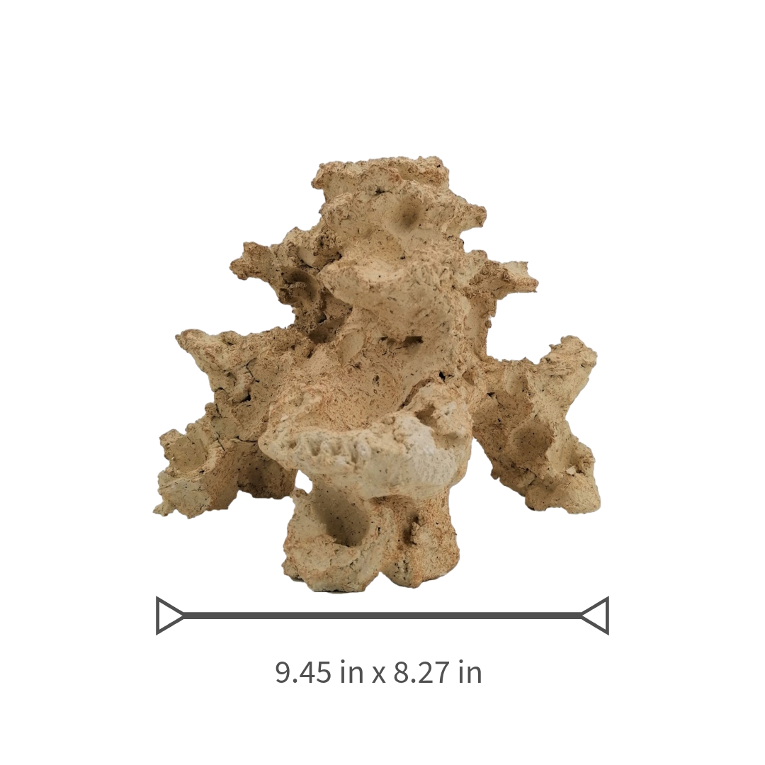 Aquaroche nano reef rock 9305 live rock with pump cavity

Aquaroche nano reef live rock with coral steps for aquascaping

Natural nano reef rock structure for marine aquariums

Aquaroche eco reef nano rock with hidden pump compartment

Nano reef aquarium live rock centerpiece with coral ledges