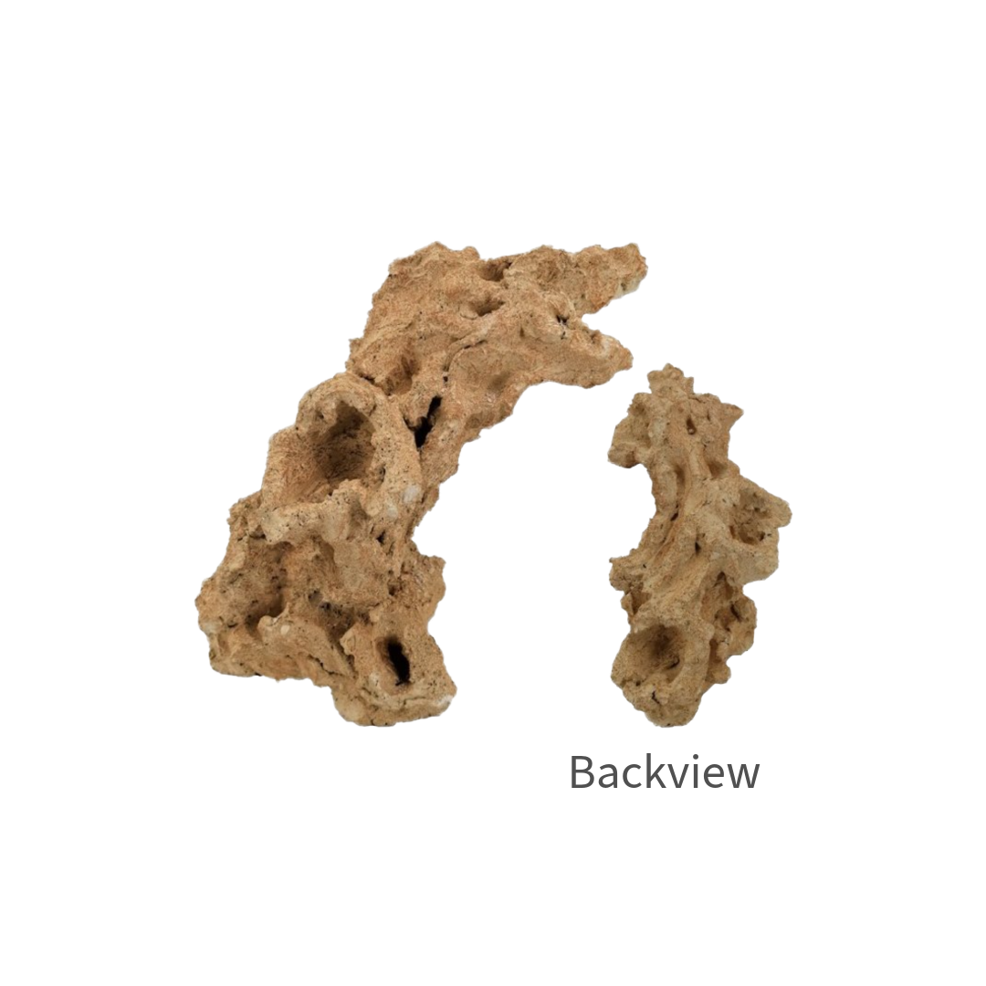 Aquaroche arch rock 152028 live rock arch for reef and freshwater aquariums

Multi-position aquarium arch rock with nests for corals and plants

Natural live rock arch structure for reef aquascaping

Aquaroche aquarium arch rock for anemones and coral placement

Vertical and horizontal live rock arch for aquarium decor