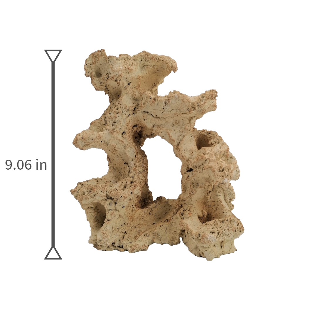 Aquaroche Small Reef Base – 7.8inch  Live Rock Structure for Fresh & Marine Tanks
Aquaroche Small Reef Base Rock – Natural Biological Filter Rock for Nano Aquariums