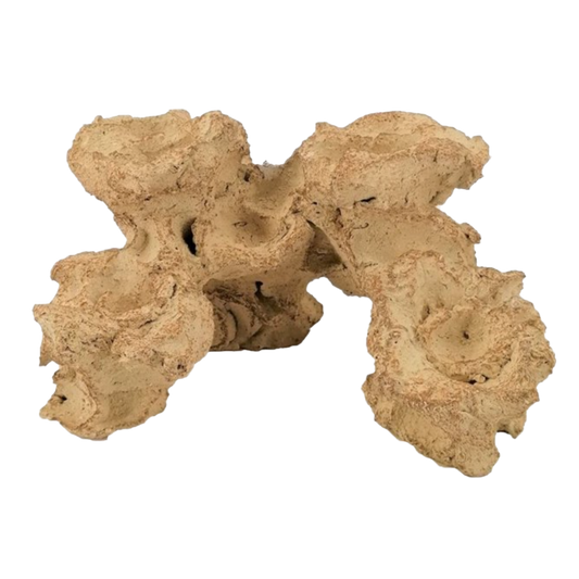Aquaroche mini reef base rock with 4 coral frag placement holes
Natural aquarium reef base rock for nano reef tanks
