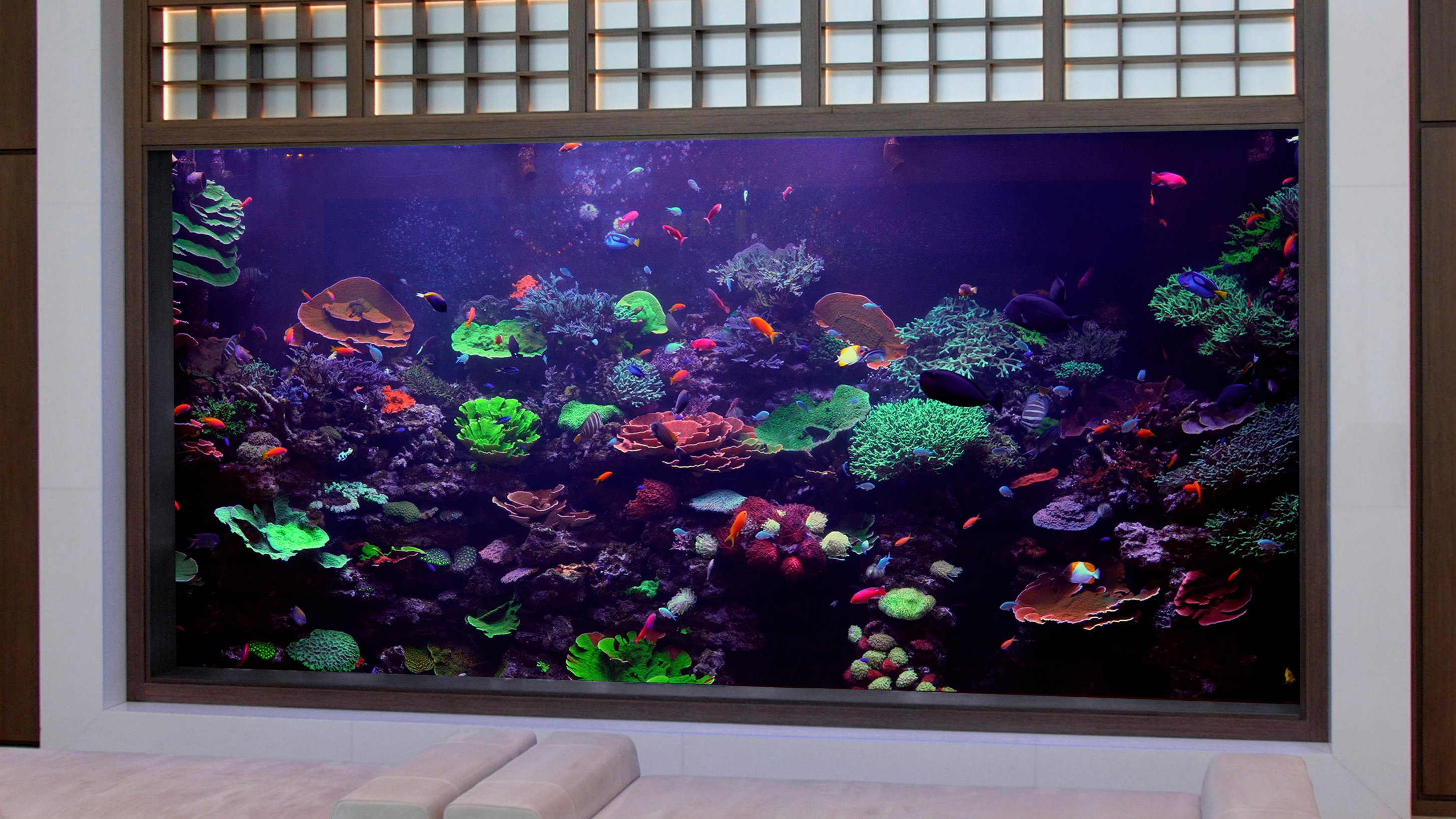 Load video: 5000 gallon aquarium with Aquaroche rock