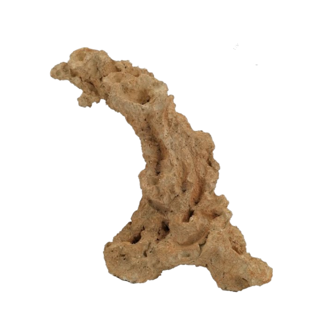 Aquaroche XL arch rock 152048 multi-position live rock arch

Extra-large live rock arch with nests for corals and anemones

Natural aquarium arch rock for reef and freshwater aquascaping

Aquaroche 18.9-inch arch rock structure for marine aquariums

Vertical and horizontal XL live rock arch for advanced aquascaping