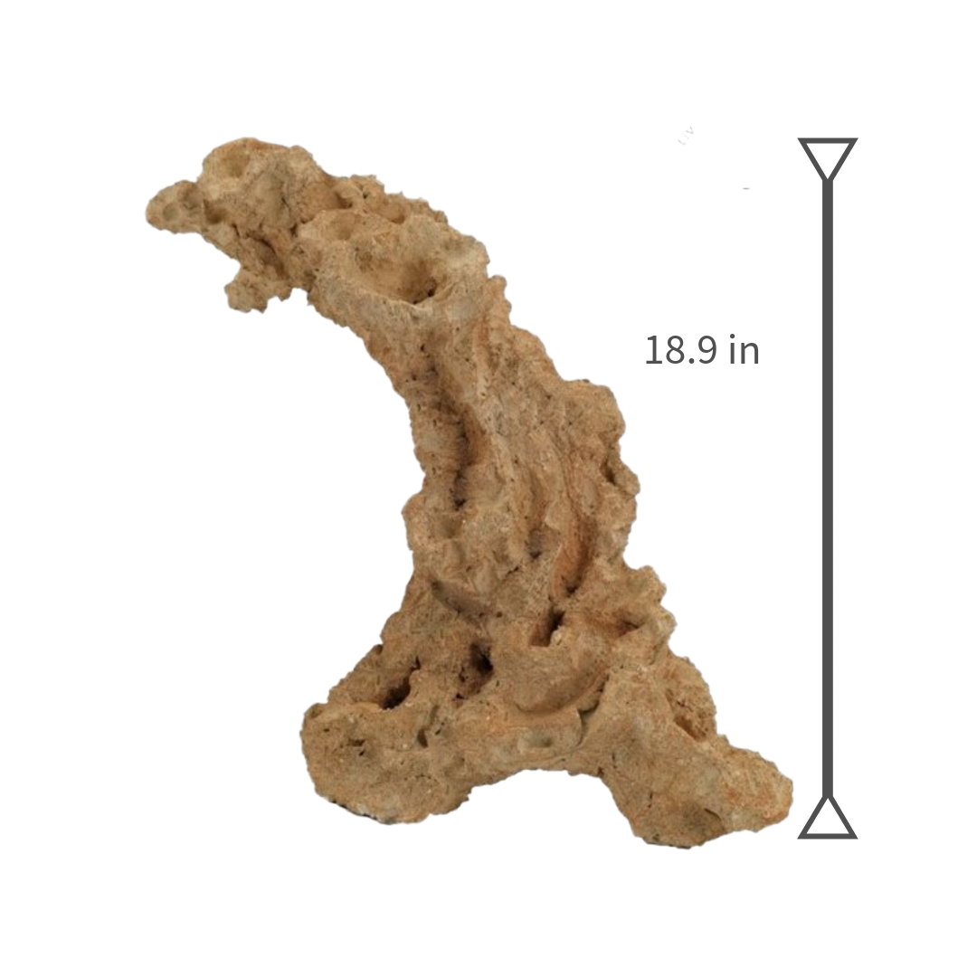 Aquaroche XL arch rock 152048 multi-position live rock arch

Extra-large live rock arch with nests for corals and anemones

Natural aquarium arch rock for reef and freshwater aquascaping

Aquaroche 18.9-inch arch rock structure for marine aquariums

Vertical and horizontal XL live rock arch for advanced aquascaping