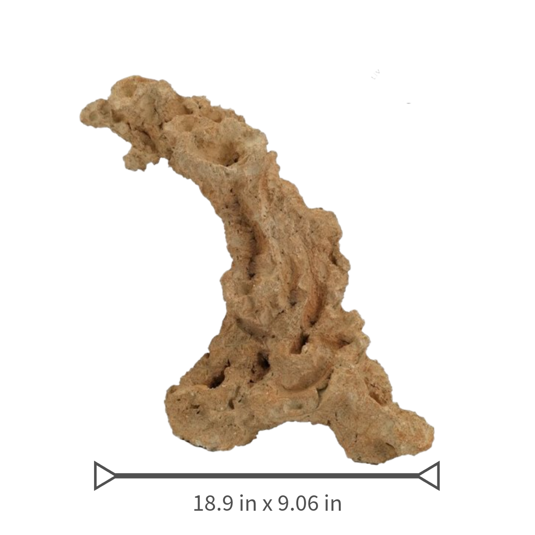 Aquaroche XL arch rock 152048 multi-position live rock arch

Extra-large live rock arch with nests for corals and anemones

Natural aquarium arch rock for reef and freshwater aquascaping

Aquaroche 18.9-inch arch rock structure for marine aquariums

Vertical and horizontal XL live rock arch for advanced aquascaping