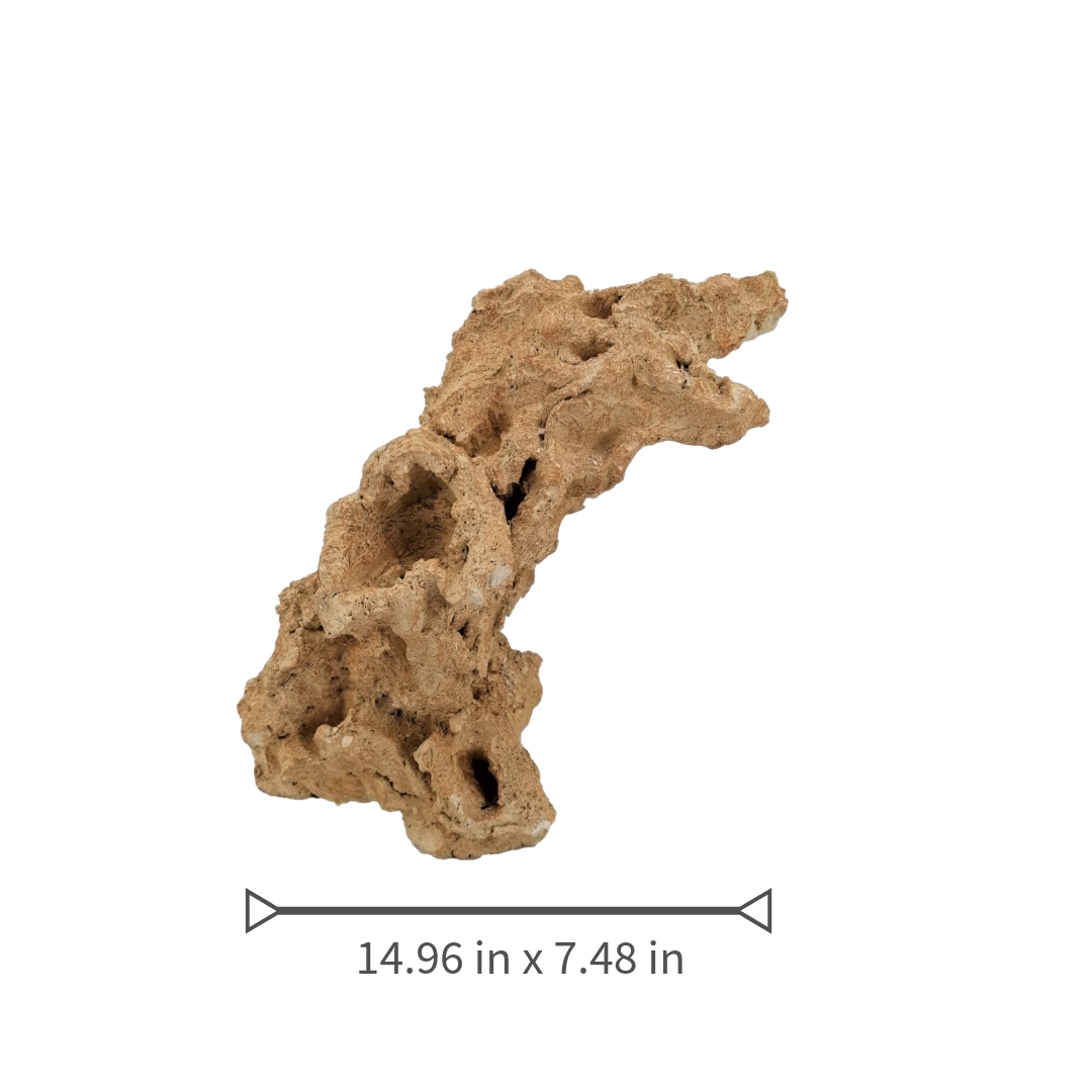 Aquaroche large arch rock 152038 multi-position live rock arch

Large live rock arch with nests for corals, anemones, and plants

Natural aquarium arch rock for reef and freshwater aquascaping

Aquaroche 15-inch arch rock structure for marine aquariums

Vertical and horizontal live rock arch for advanced aquascaping